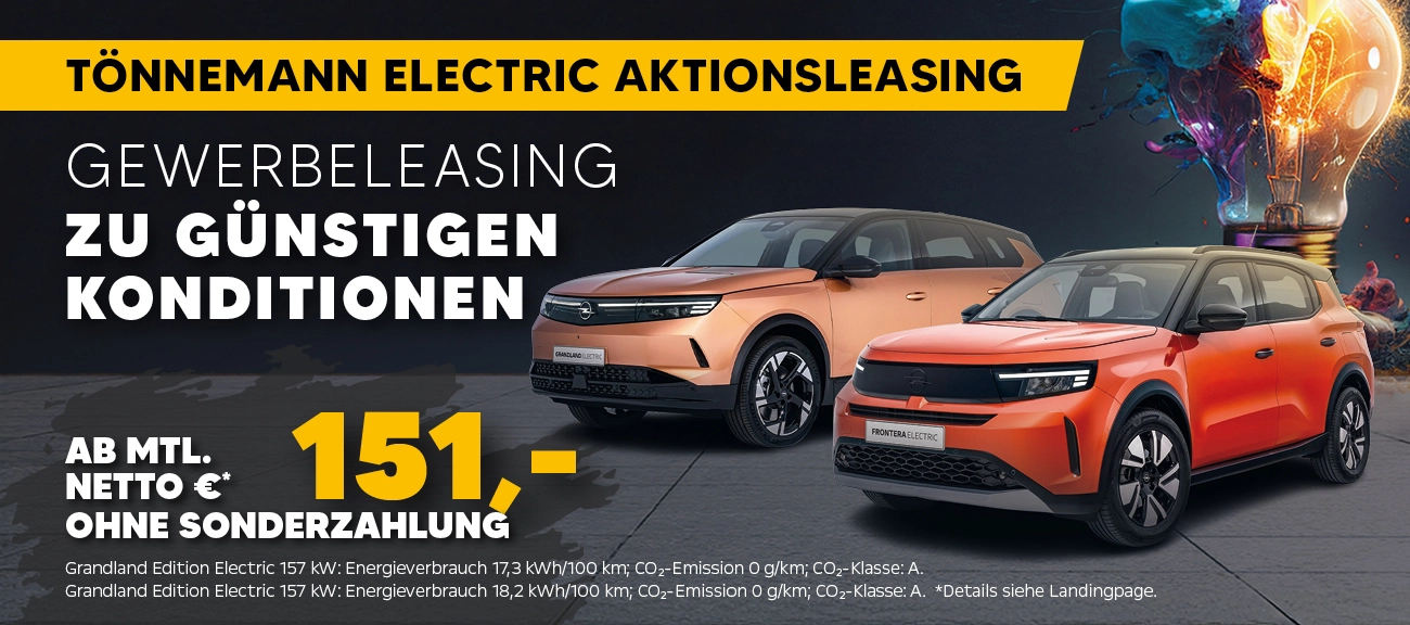 Electric Aktionsleasing