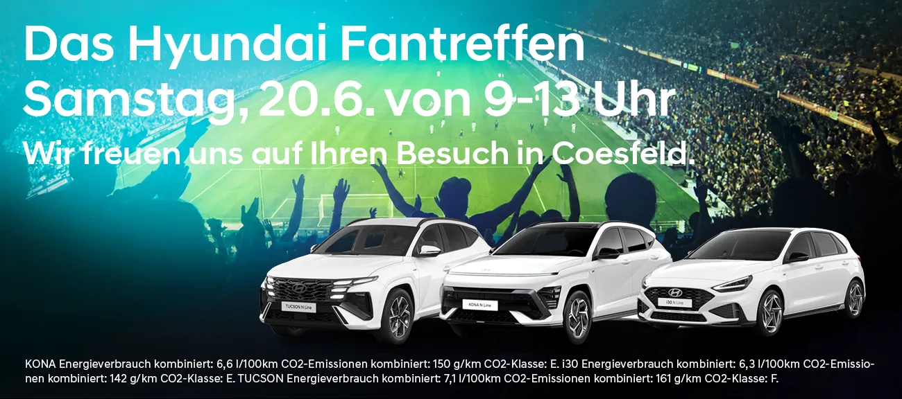 Hyundai Fantreffen
